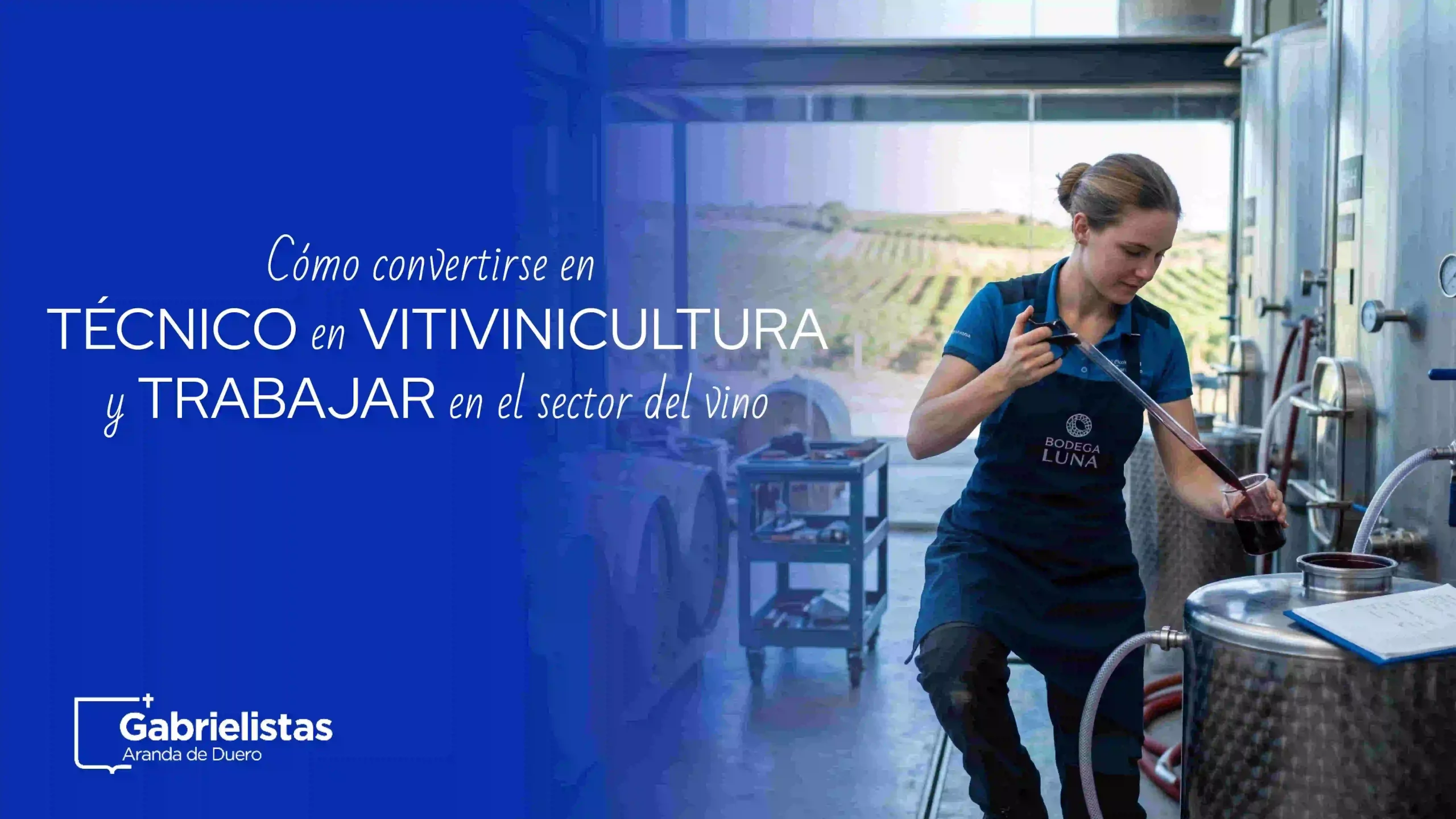 Cómo ser técnico en vitivinicultura y trabajar en bodegas